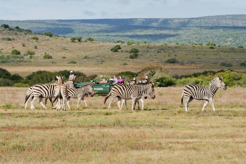 Kwandwe Private Game Reserve - Great Fish River Lodge Grahamstown Bagian luar foto