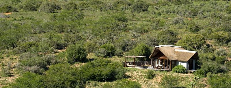 Kwandwe Private Game Reserve - Great Fish River Lodge Grahamstown Bagian luar foto
