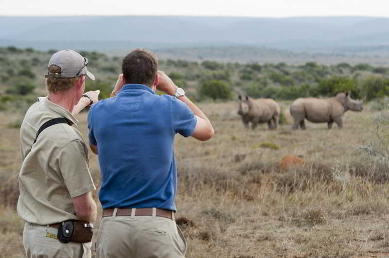 Kwandwe Private Game Reserve - Great Fish River Lodge Grahamstown Bagian luar foto