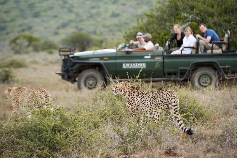Kwandwe Private Game Reserve - Great Fish River Lodge Grahamstown Bagian luar foto