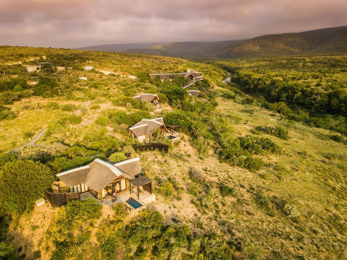 Kwandwe Private Game Reserve - Great Fish River Lodge Grahamstown Bagian luar foto